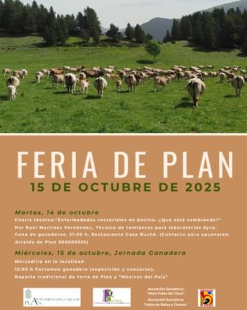 Imagen Plan Provincial de Concertación Municipal para fomento de actividades...