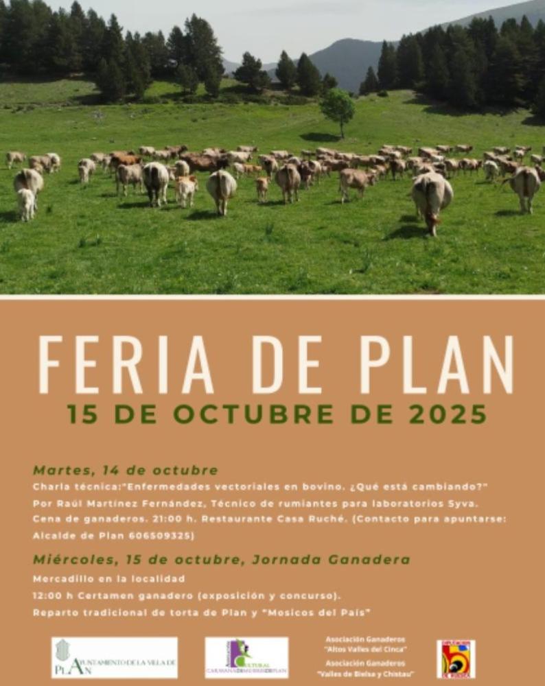 Imagen Plan Provincial de Concertación Municipal para fomento de actividades culturales, deportivas y bibliotecas 2025